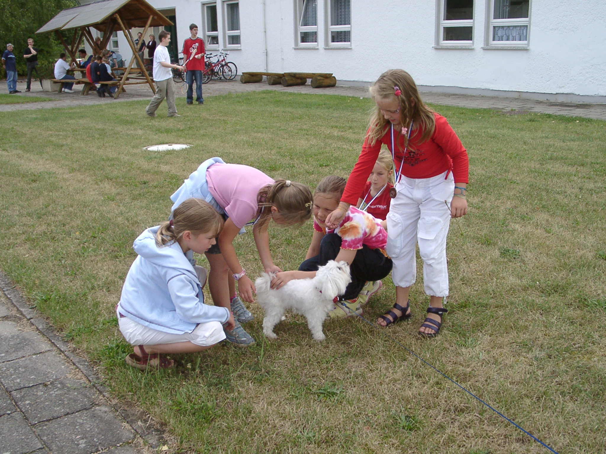 Vorschau